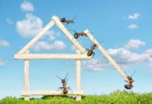 intervenire contro le formiche in casa