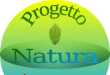 progetto-logo-pnv