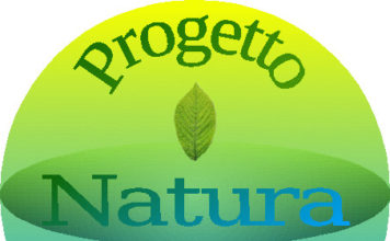 progetto-logo-pnv