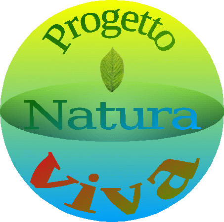 progetto-logo-pnv