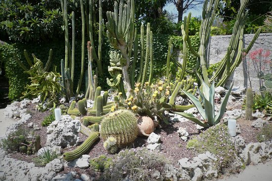 giardini esotici la cutura