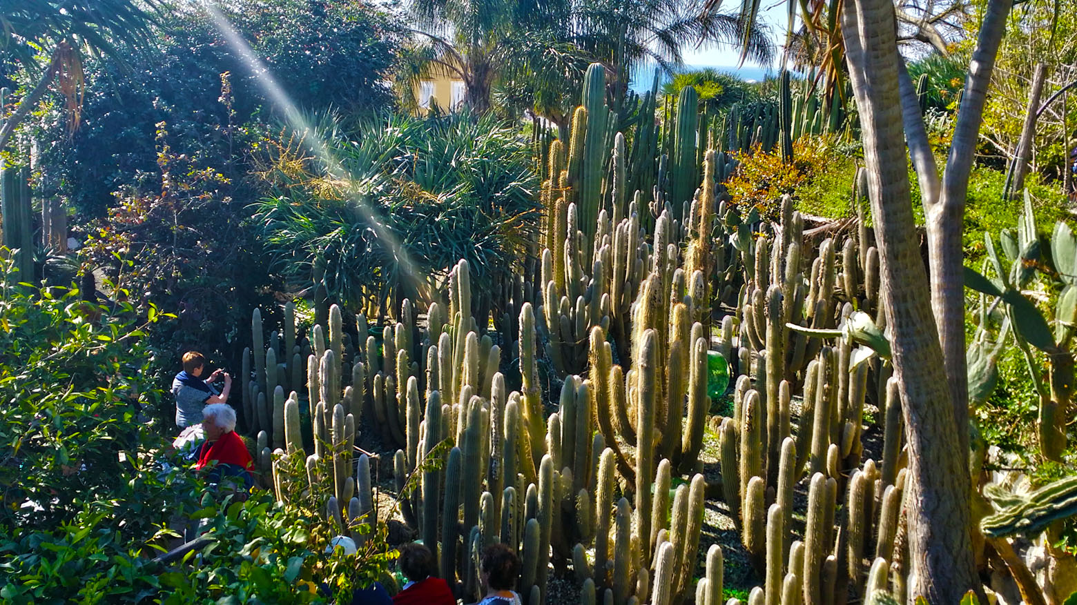 giardini esotici ravino