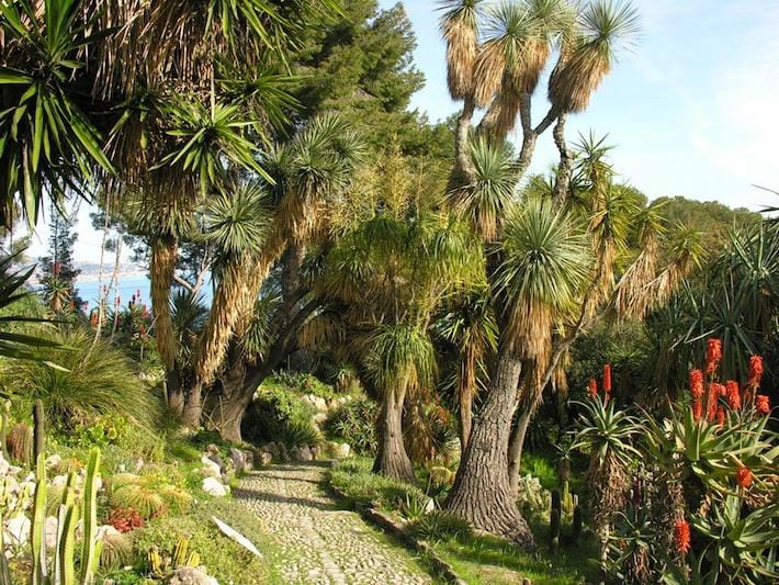 giardini esotici