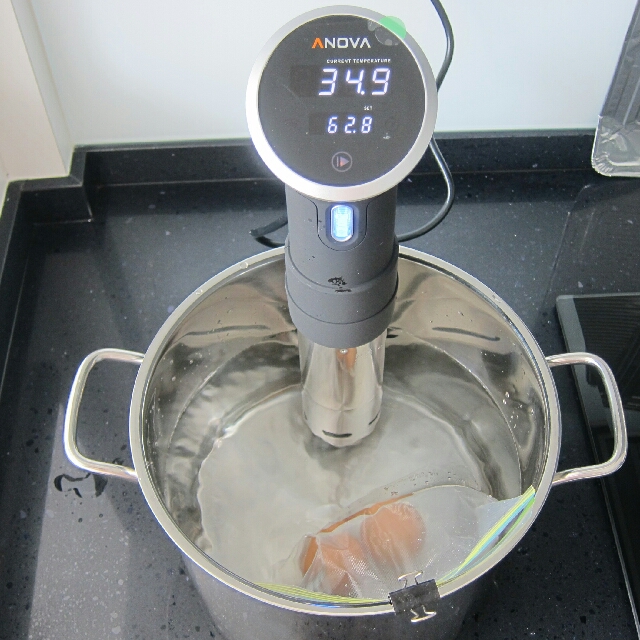 Anova Precision Cooker