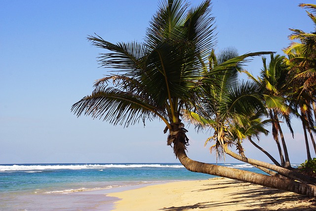 spiagge al mondo: Playa Bravo, Punta Cana