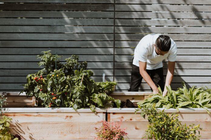 Giardinaggio fai da te