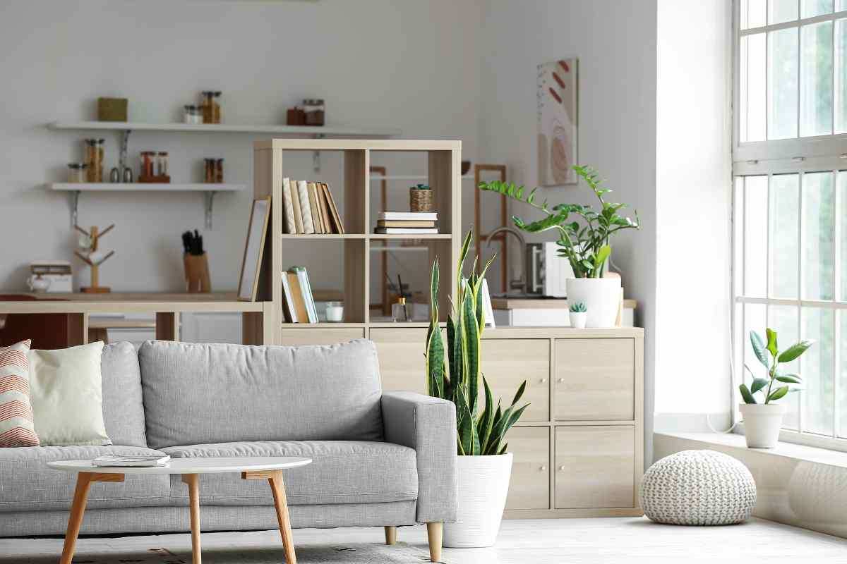 come rendere la casa e la libreria curiosa ed elegante: i segreti