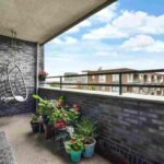 Con questa pianta perenne il tuo balcone sarà sempre verde