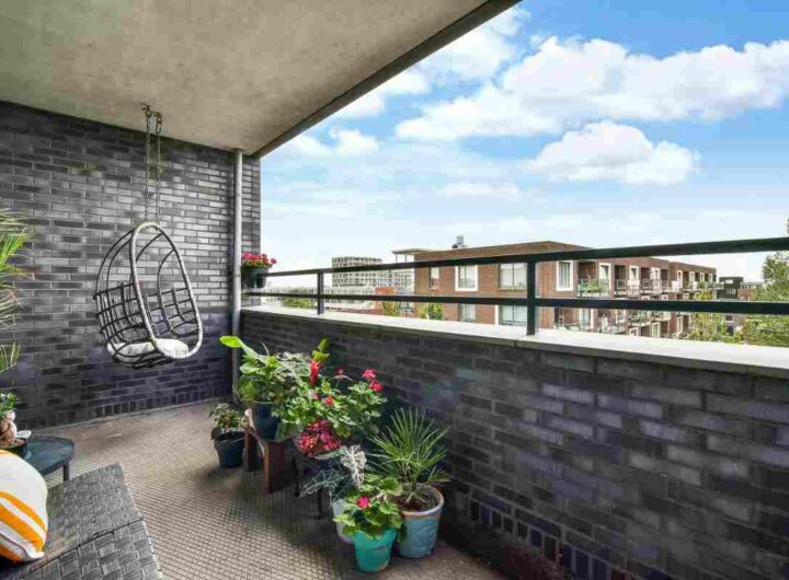 Con questa pianta perenne il tuo balcone sarà sempre verde