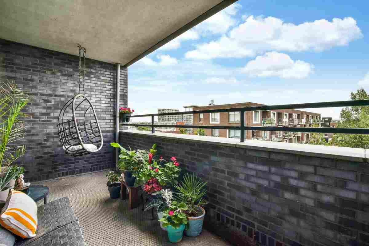 Con questa pianta perenne il tuo balcone sarà sempre verde