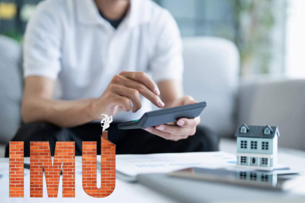 IMU