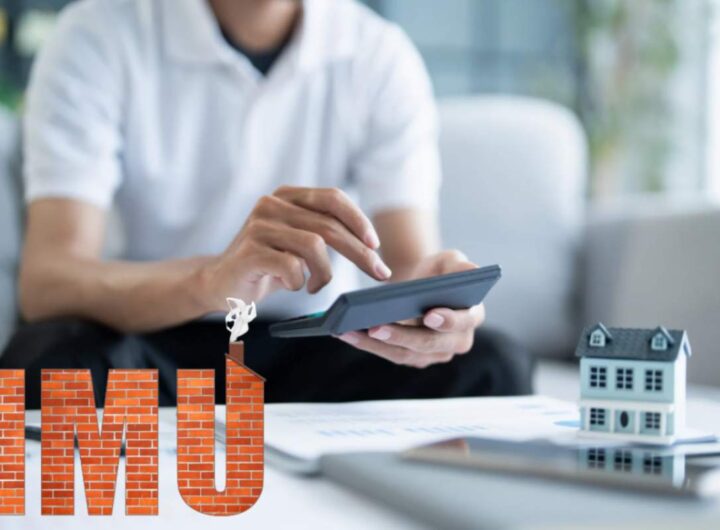 IMU