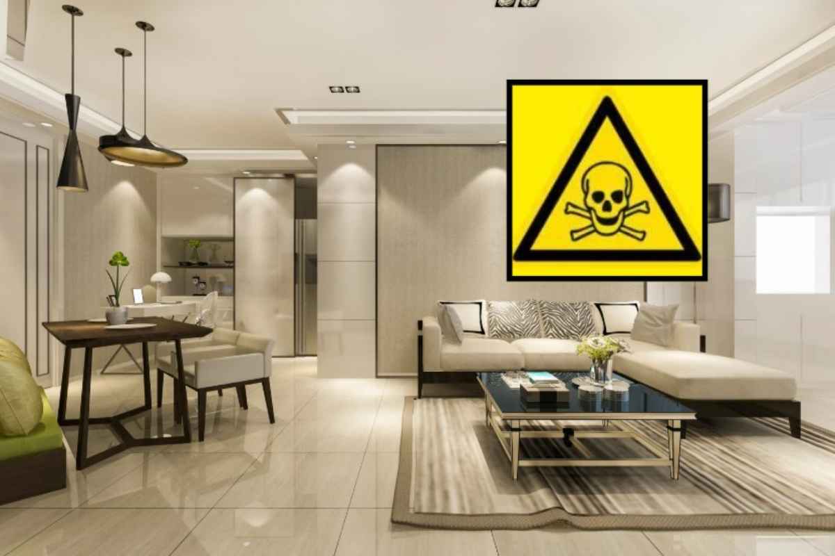 Tossicità in casa, rischi