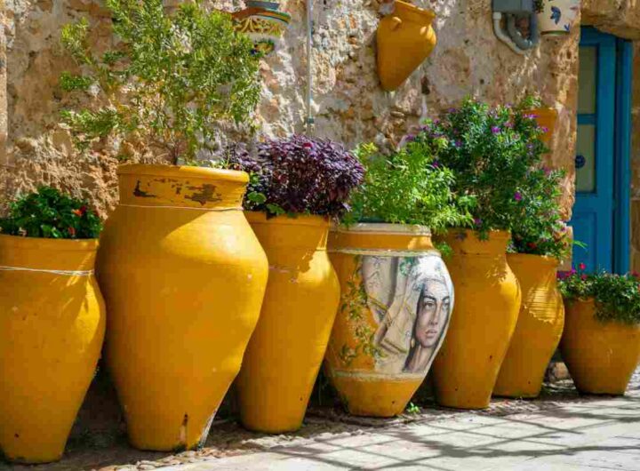 Vasi terracotta