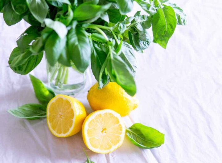 foglie limone utilizzi