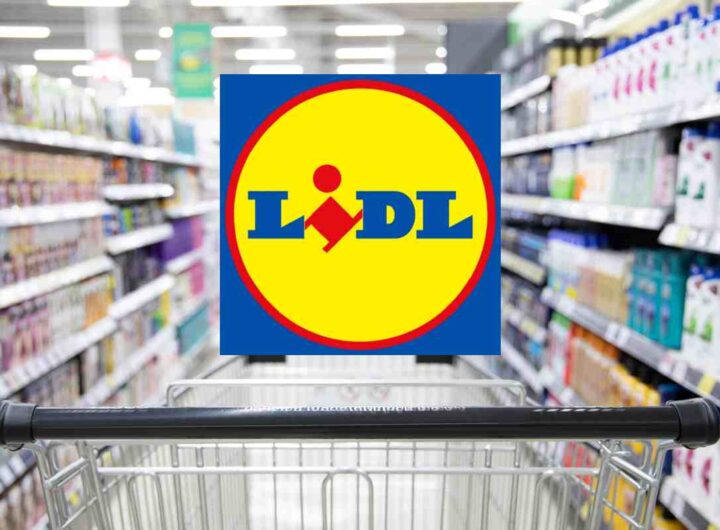 lidl super offerte