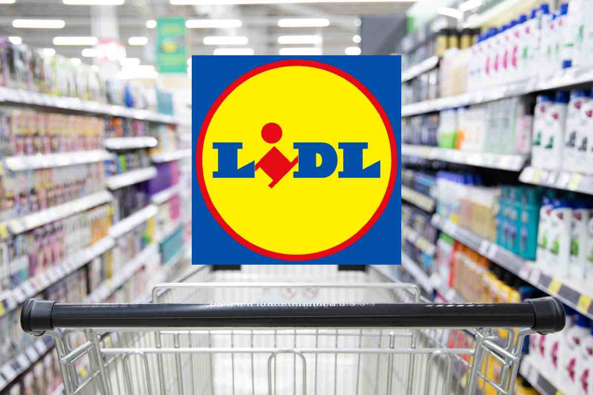 lidl super offerte