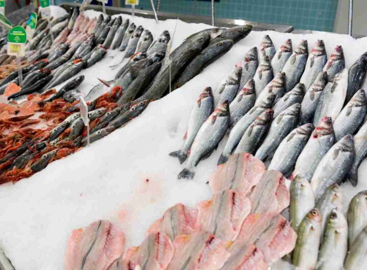 come comprare il pesce fresco