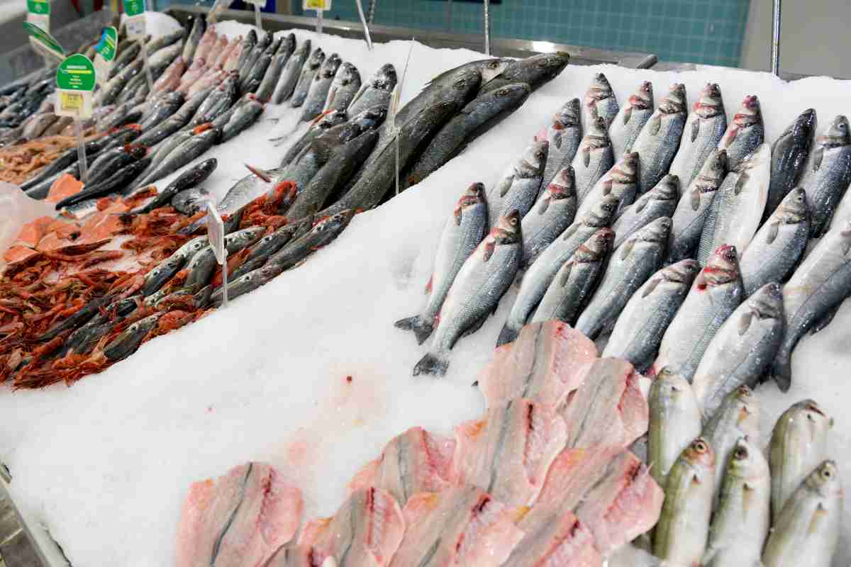 come comprare il pesce fresco