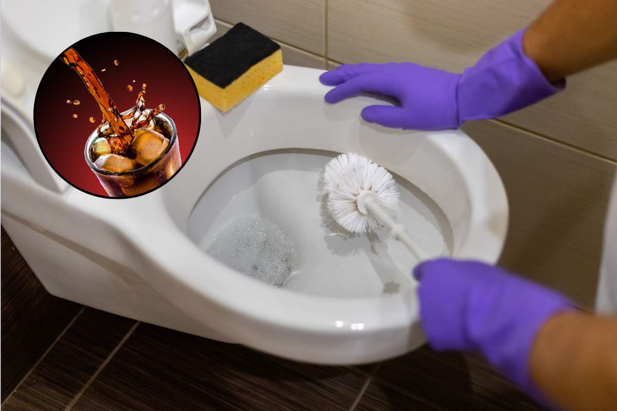 wc pulizia coca cola