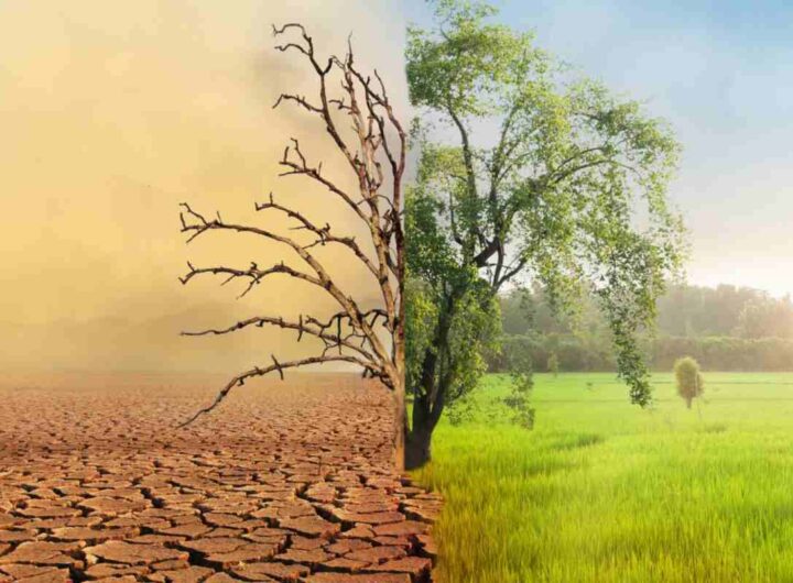 cambiamento climatico