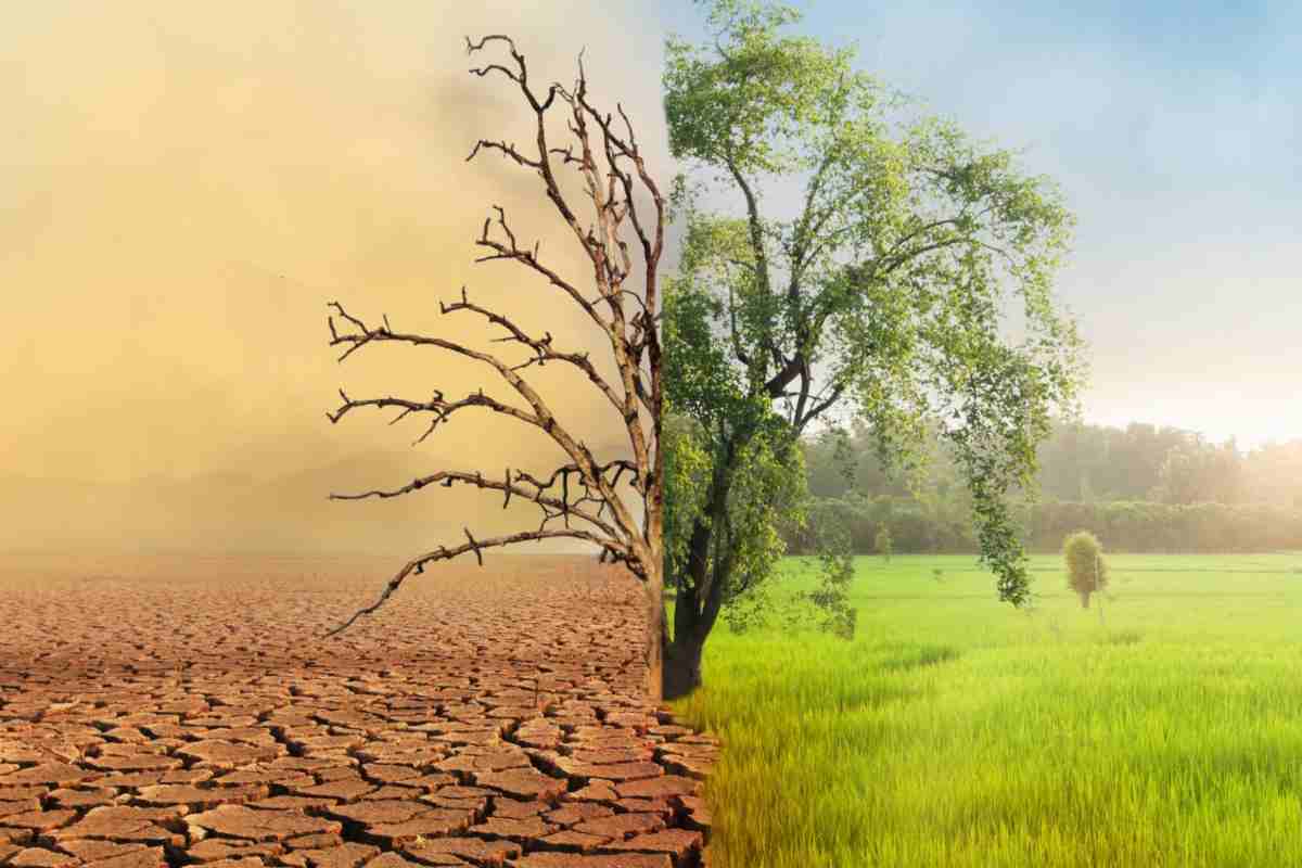 cambiamento climatico