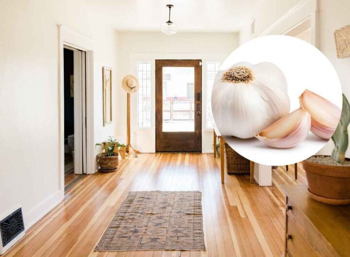 purifica l'aria di casa bruciando l'aglio
