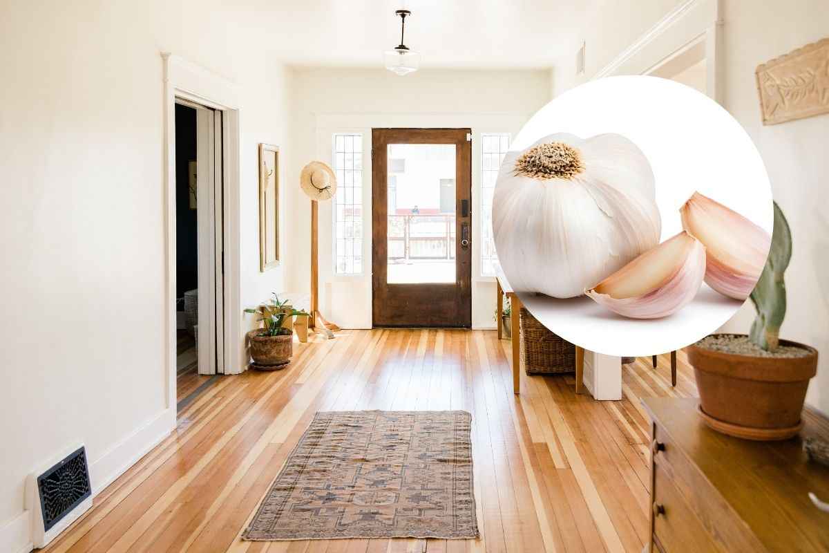 purifica l'aria di casa bruciando l'aglio