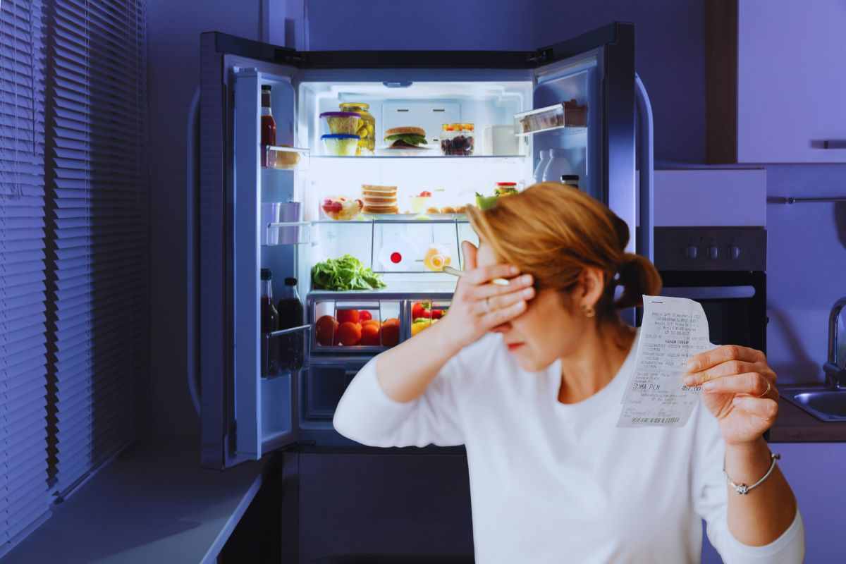 frigorifero e bollette