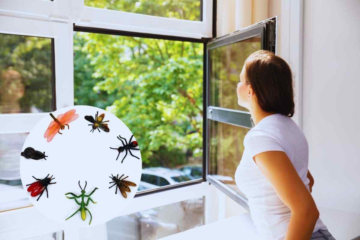 la soluzione per allontanare gli insetti