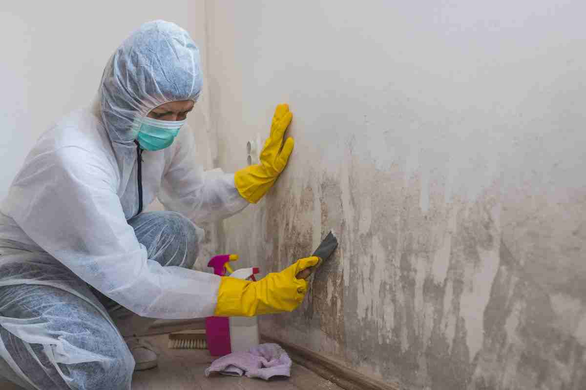muffa in casa: scopri i danni che può provocare
