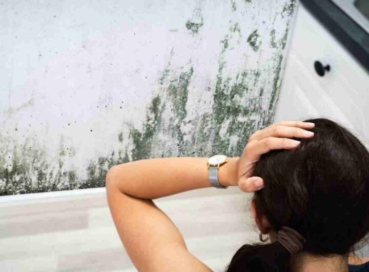 muffa in casa: scopri i danni che può provocare