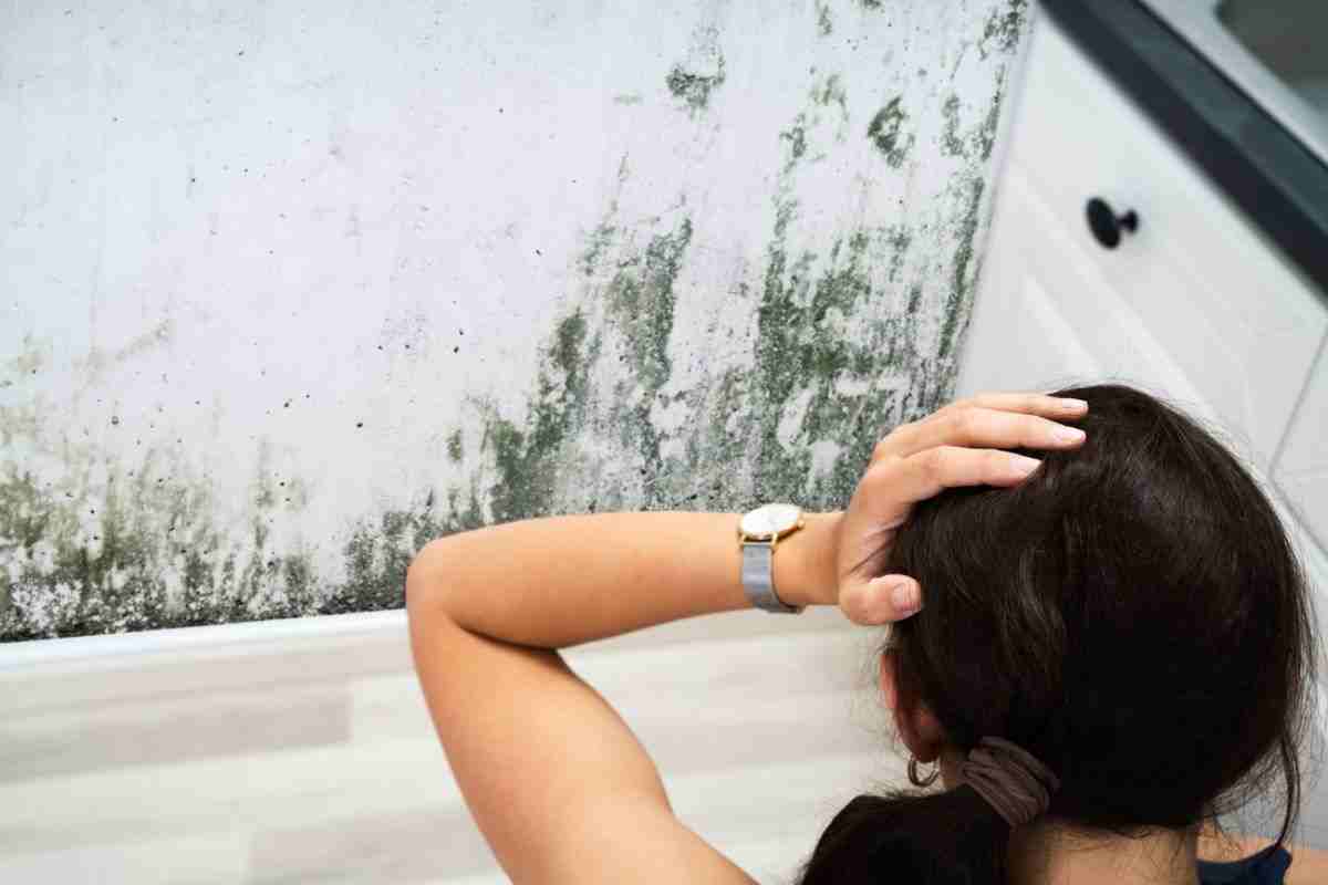 muffa in casa: scopri i danni che può provocare