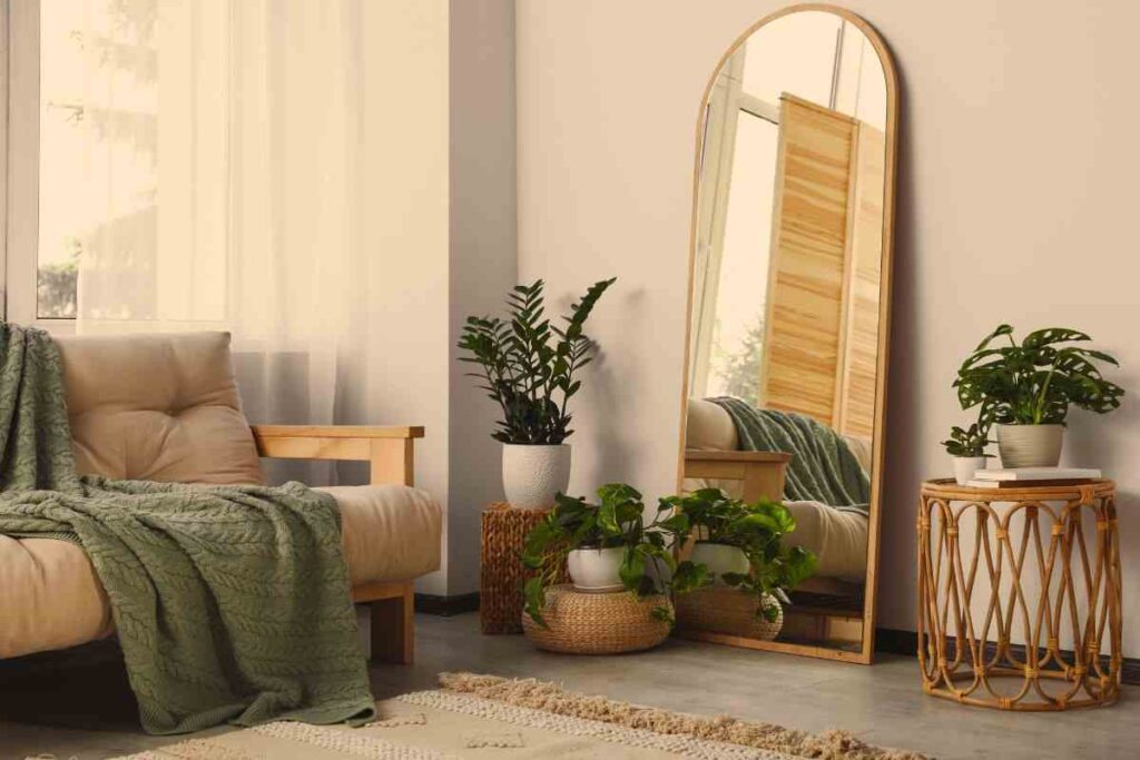 piante in casa: perchè averle?