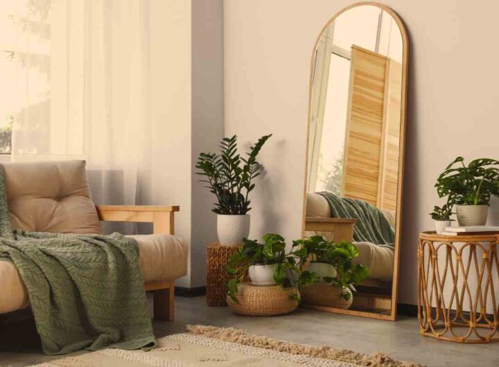 piante in casa: perchè averle?