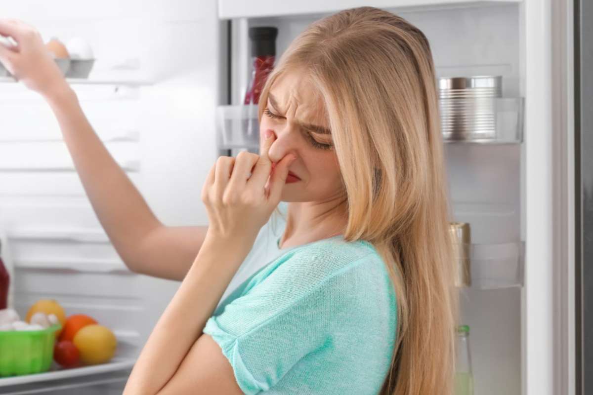 Pulire il frigorifero con prodotti naturali per eliminare i cattivi odor