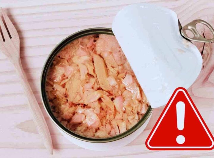 allarme mercurio nel tonno in scatola