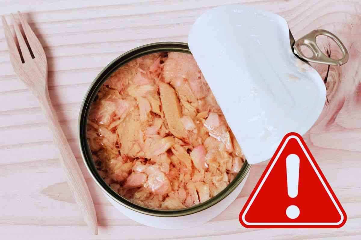 allarme mercurio nel tonno in scatola