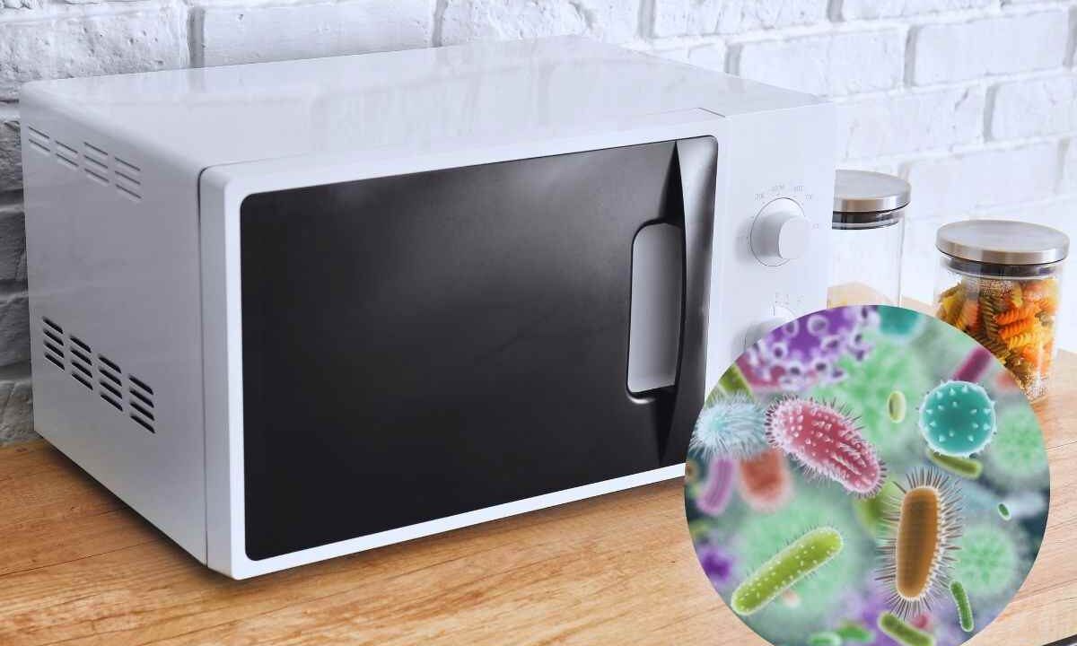 Microonde e batteri: come pulirlo