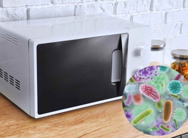 Microonde e batteri: come pulirlo