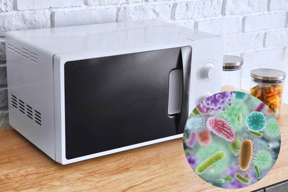 Microonde e batteri: come pulirlo