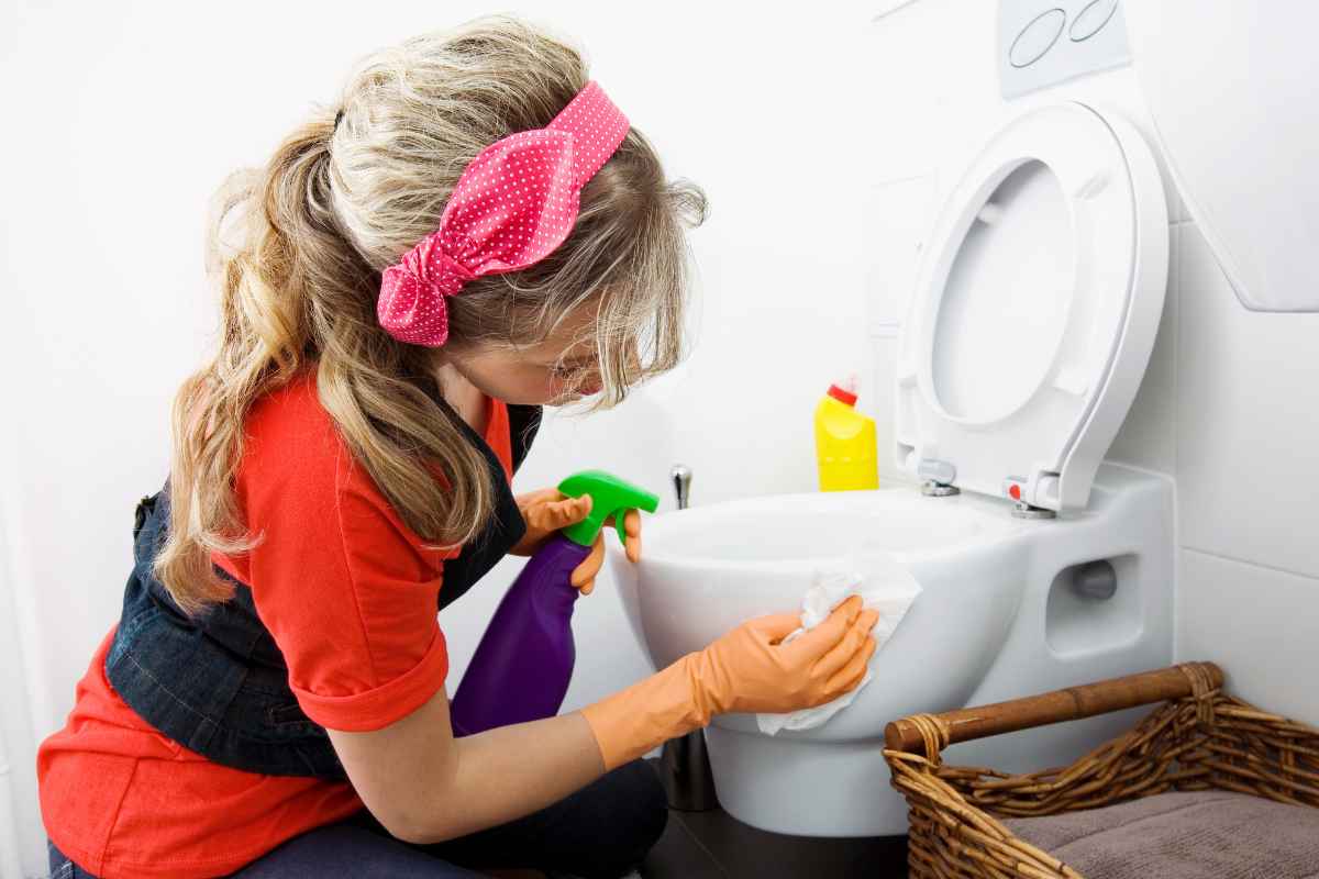 Ghiaccio nel water: una soluzione geniale