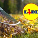 mega offerta lidl: strumenti da giardino a soli 3,99 euro