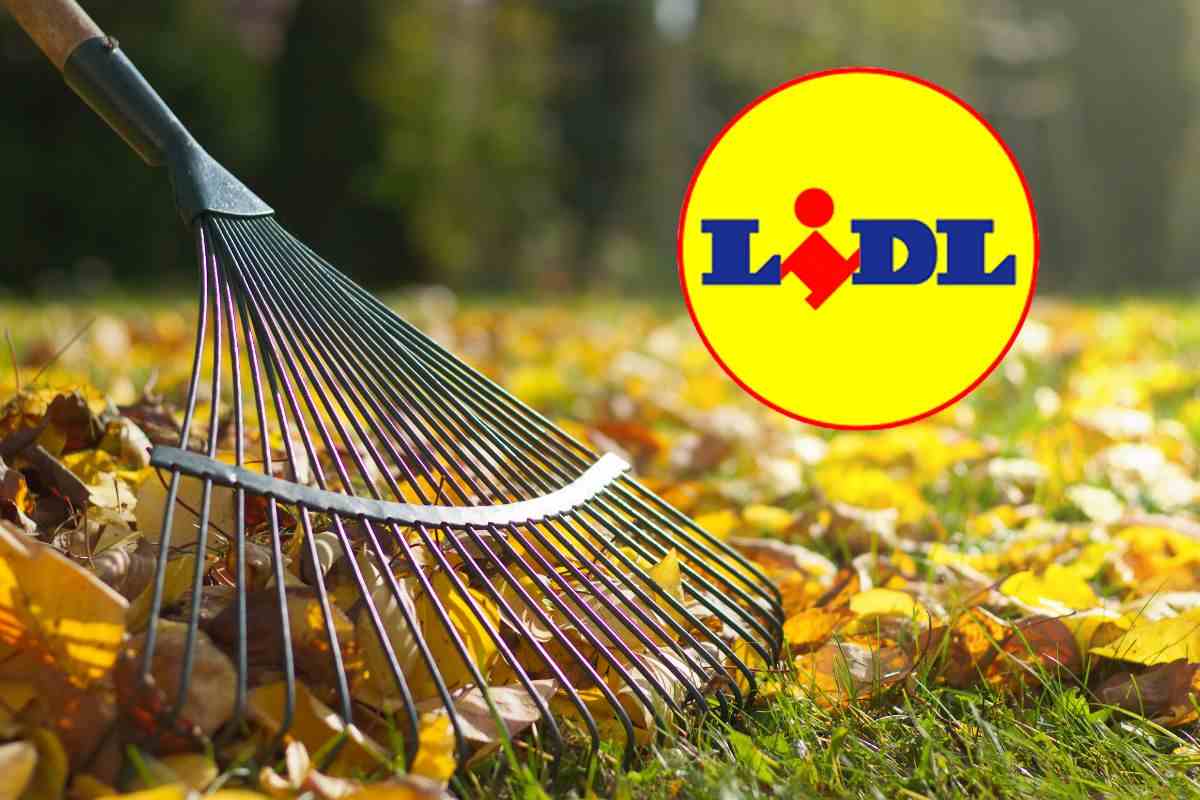 mega offerta lidl: strumenti da giardino a soli 3,99 euro