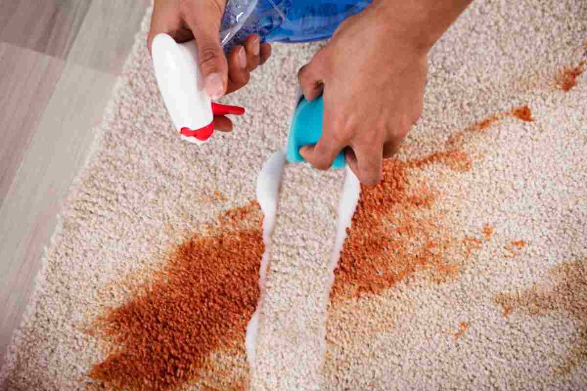 Pulizia tappeti, birra